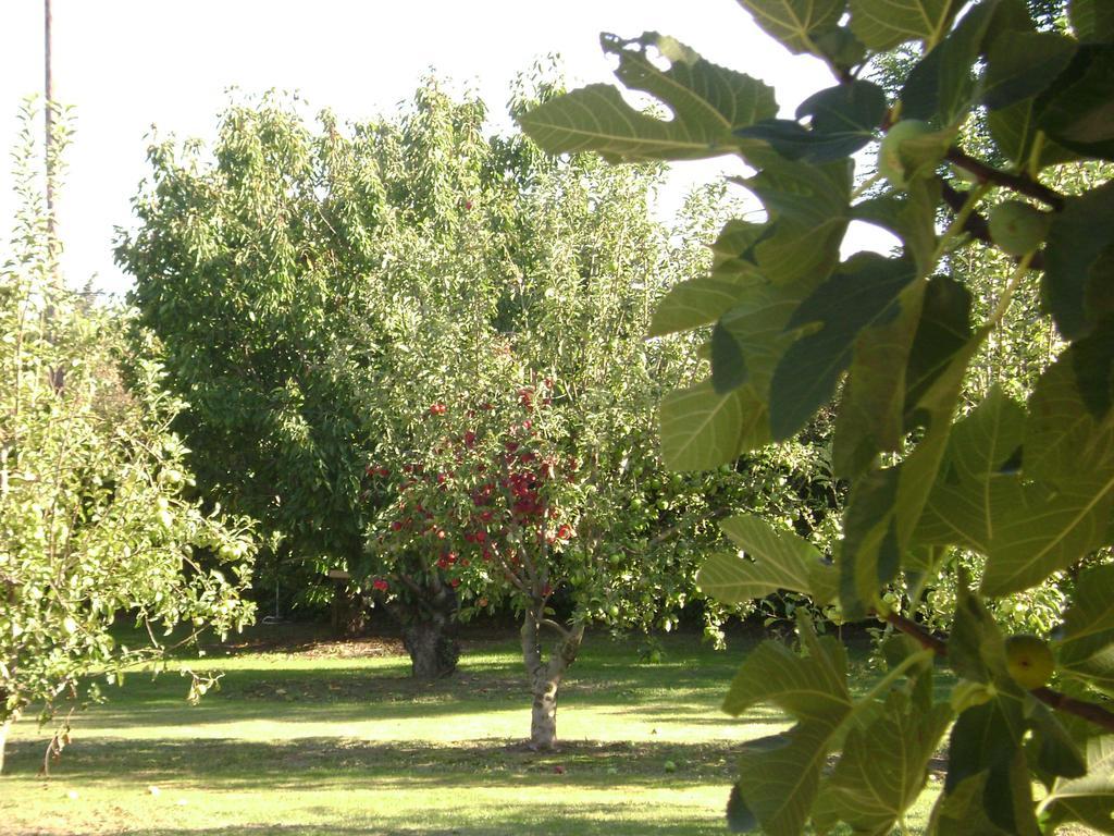 Vila Gite La Gourmandine Saint-Andiol Exteriér fotografie