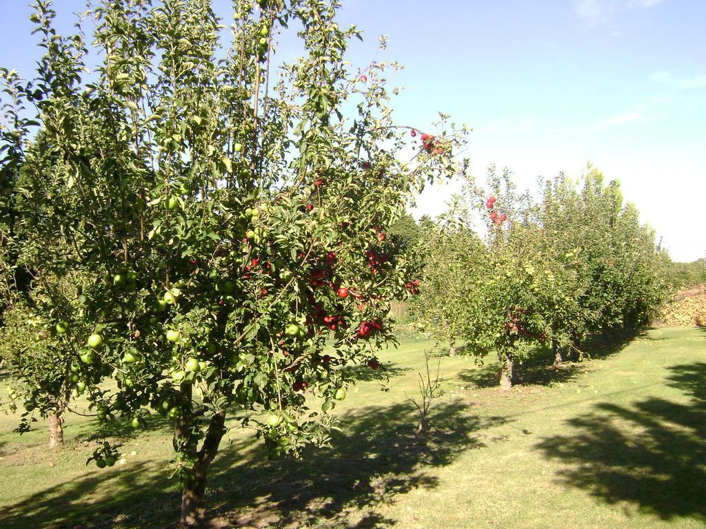 Gite La Gourmandine Saint-Andiol Exteriér fotografie
