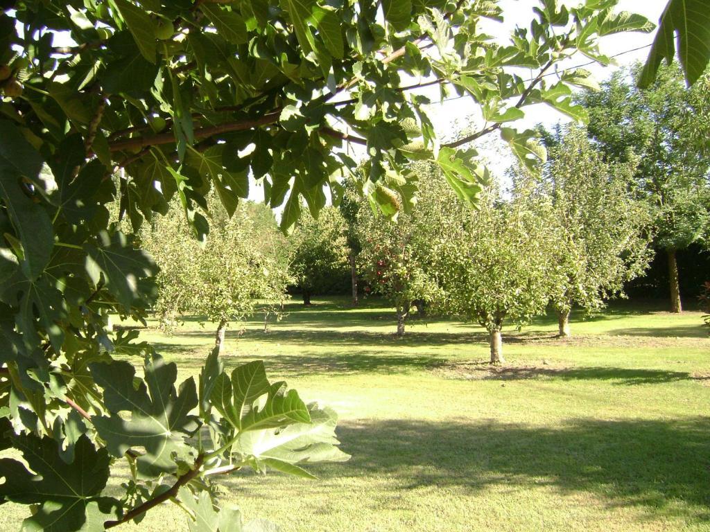 Vila Gite La Gourmandine Saint-Andiol Exteriér fotografie